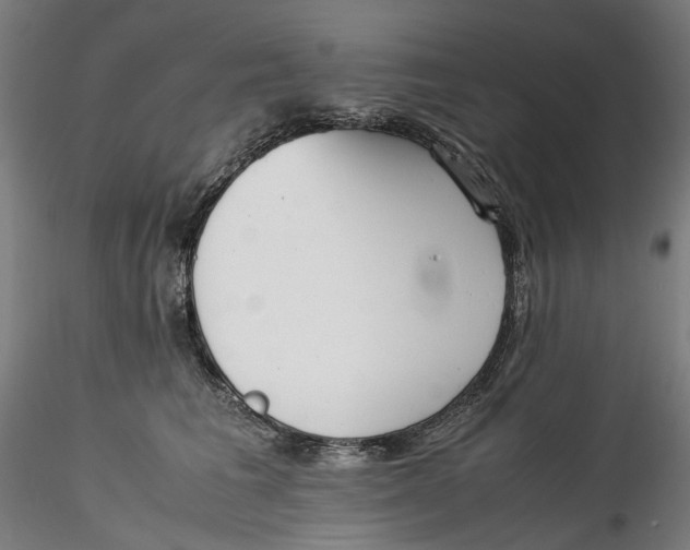 X0000115540613200911271412