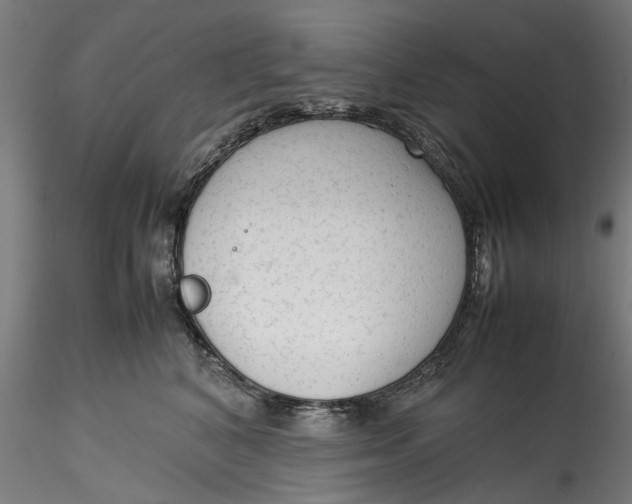 X0000115540616200911271412