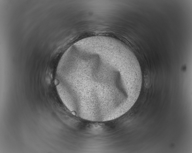 X0000115540618200911271412