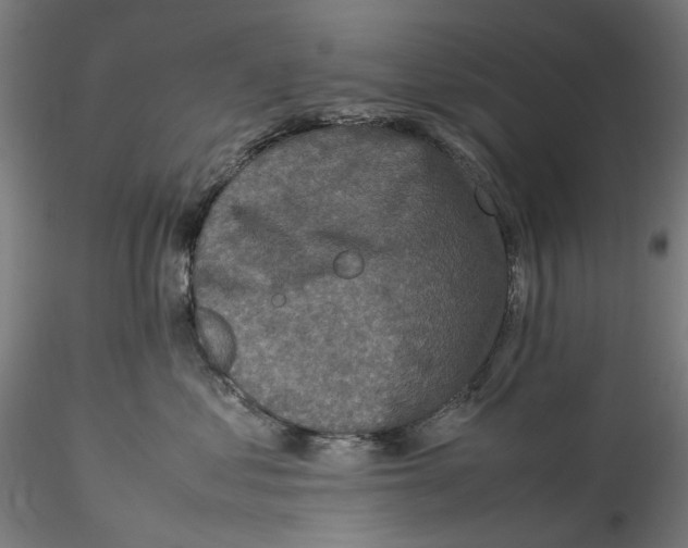 X0000115540621200911271412