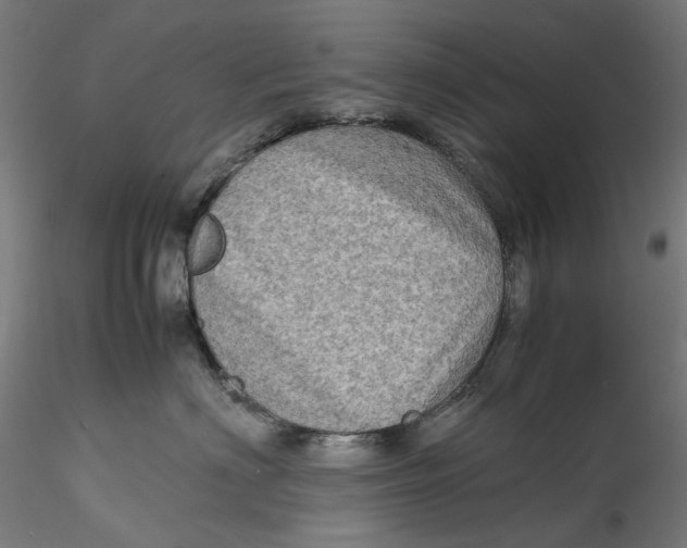 X0000115540622200911271412