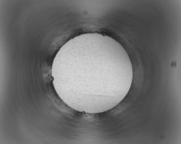 X0000115540624200911271412