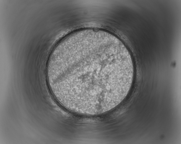 X0000115540625200911271411