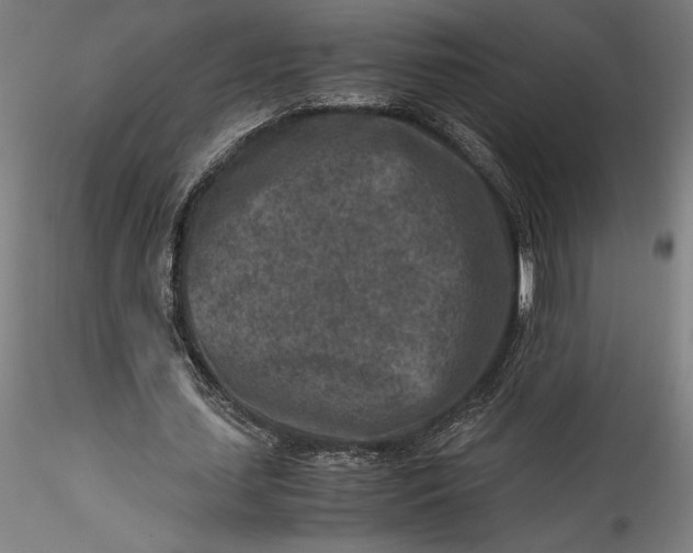 X0000115540627200911271411