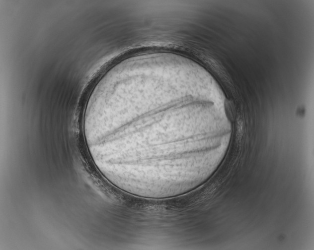 X0000115540628200911271411