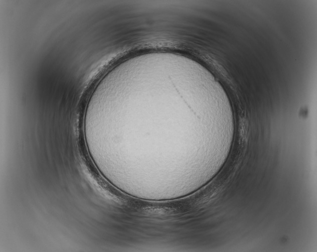 X0000115540629200911271411