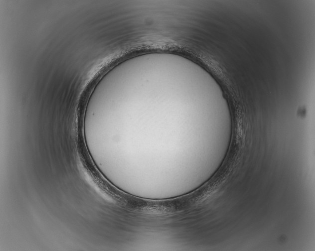 X0000115540630200911271411