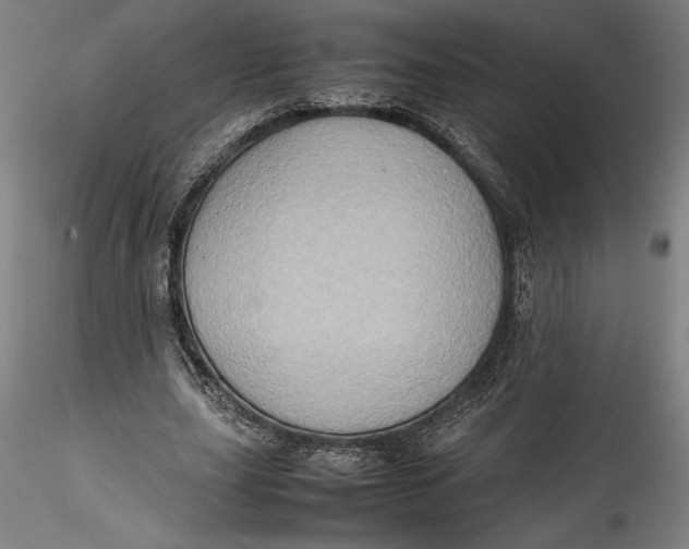 X0000115540631200911271411