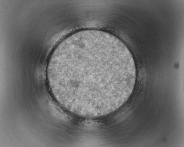 X0000115540632200911271411