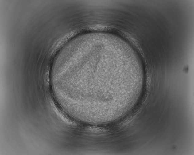 X0000115540633200911271411