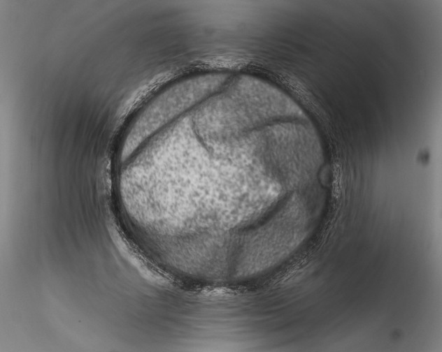 X0000115540634200911271411