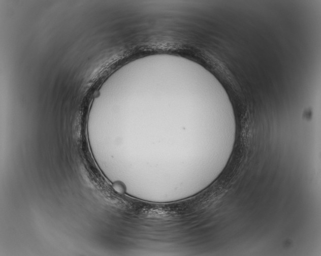 X0000115540635200911271411