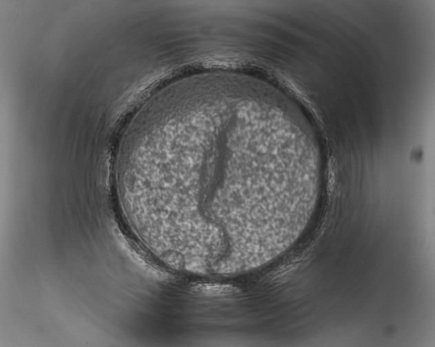 X0000115540637200911271411