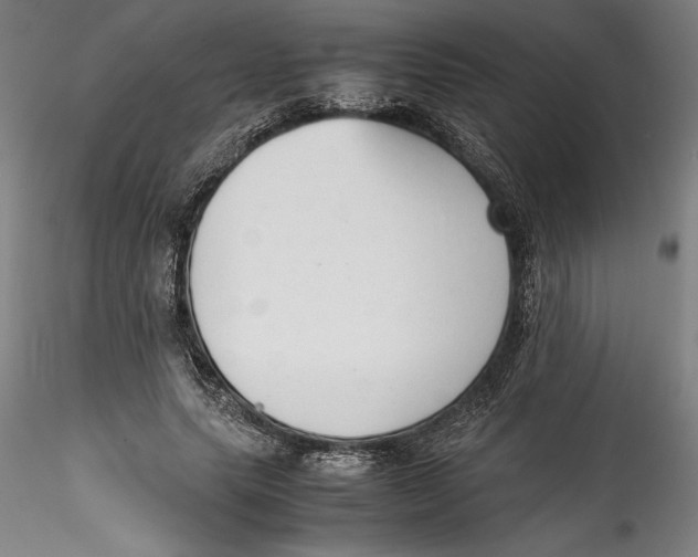 X0000115540639200911271411