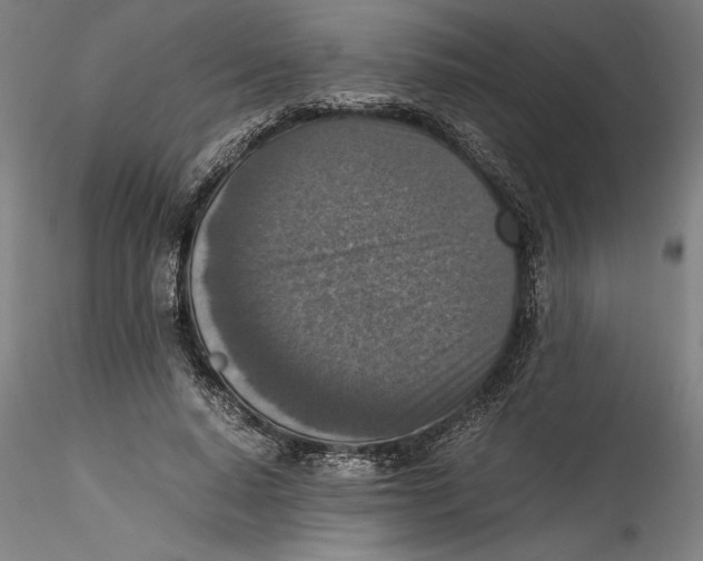 X0000115540640200911271411