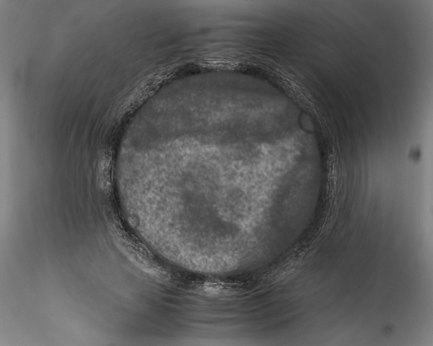 X0000115540641200911271411