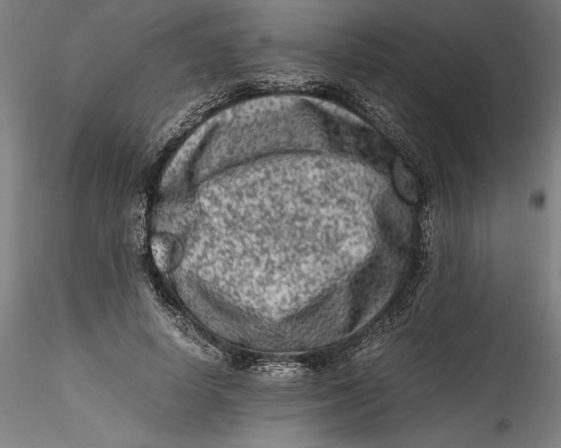 X0000115540642200911271411