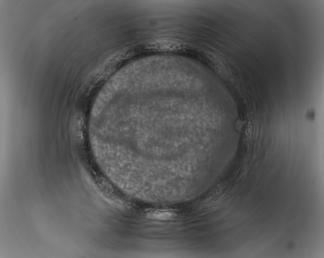 X0000115540643200911271411