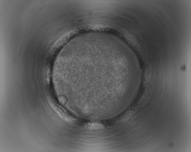 X0000115540644200911271411