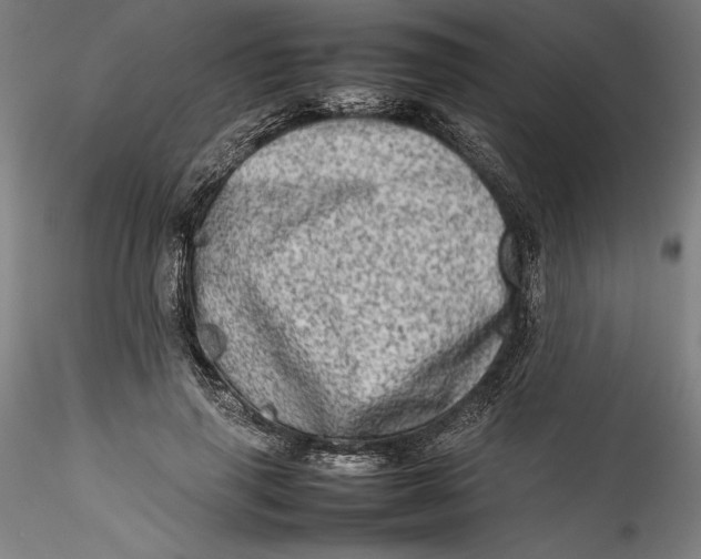 X0000115540645200911271411