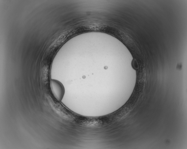 X0000115540646200911271411