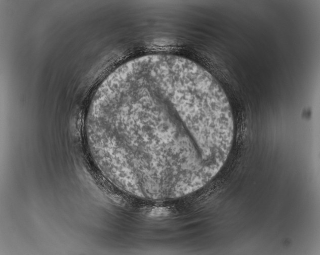 X0000115540647200911271411