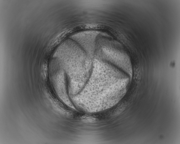 X0000115540648200911271411