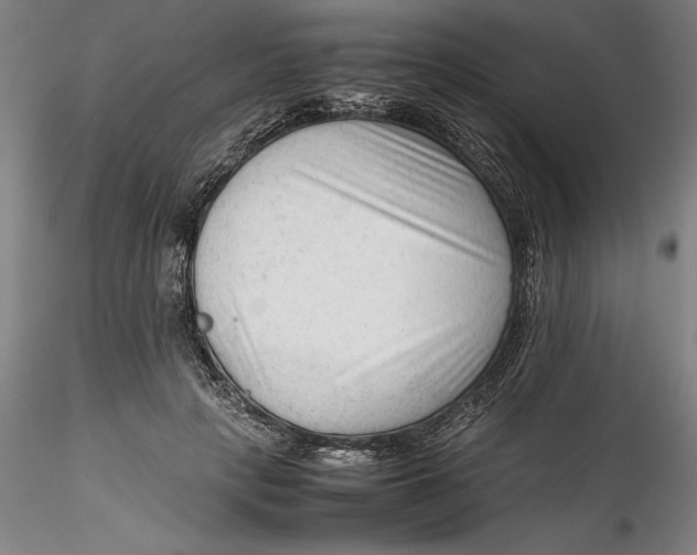 X0000115540649200911271411