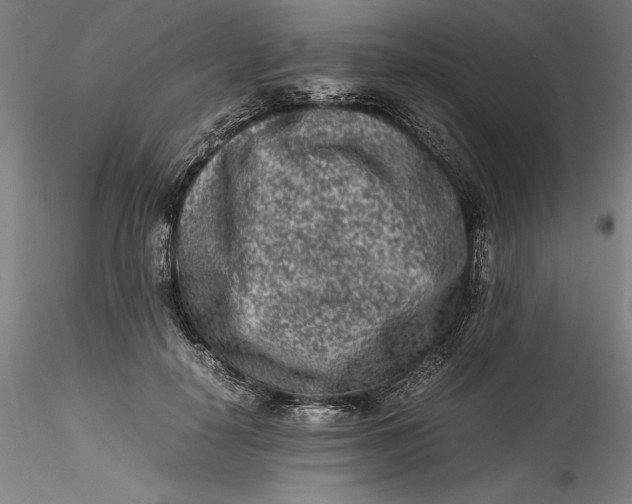 X0000115540650200911271411