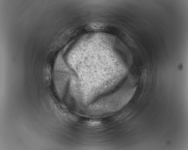 X0000115540651200911271411