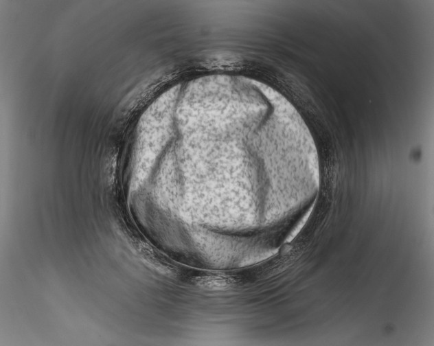 X0000115540652200911271411