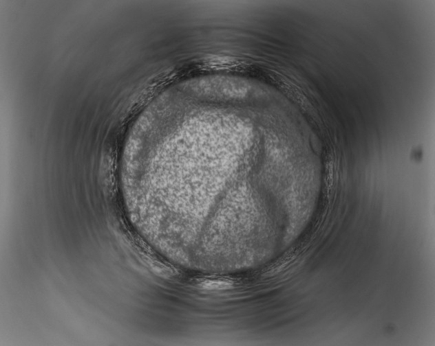 X0000115540653200911271411