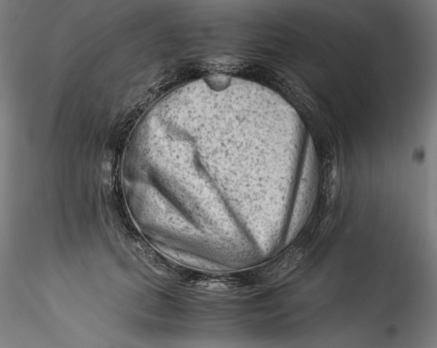 X0000115540655200911271411