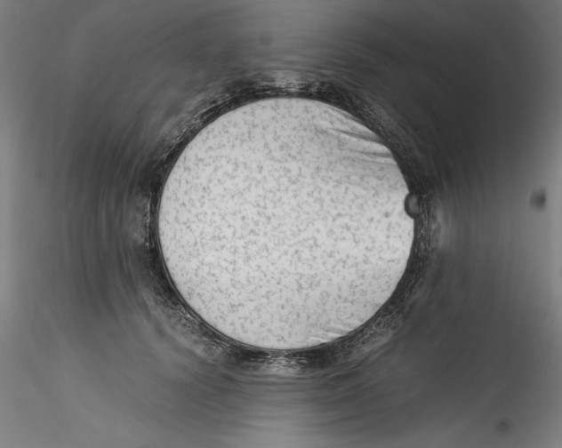 X0000115540656200911271411