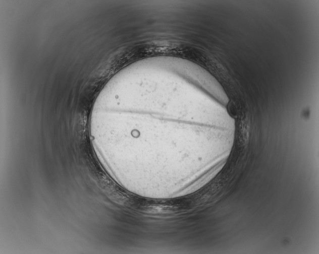 X0000115540657200911271411