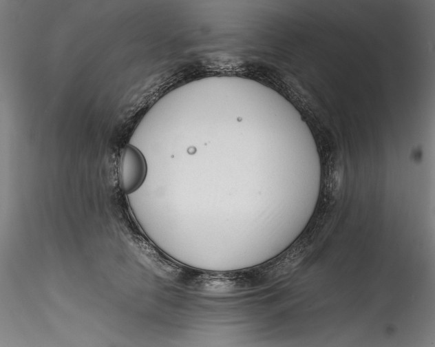 X0000115540658200911271411