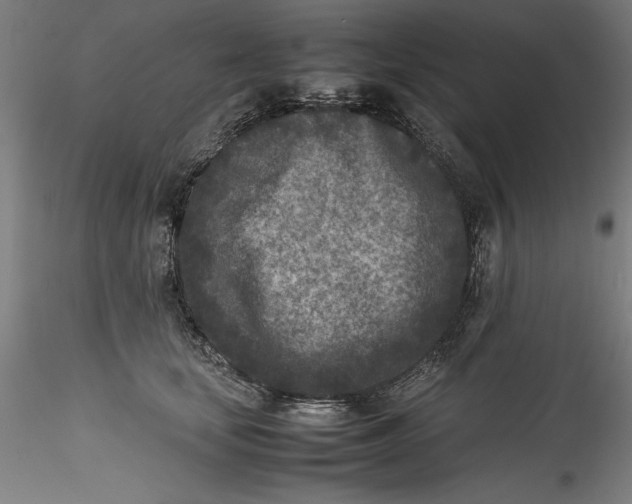 X0000115540659200911271411