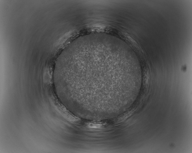 X0000115540661200911271411