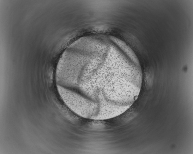 X0000115540668200911271412