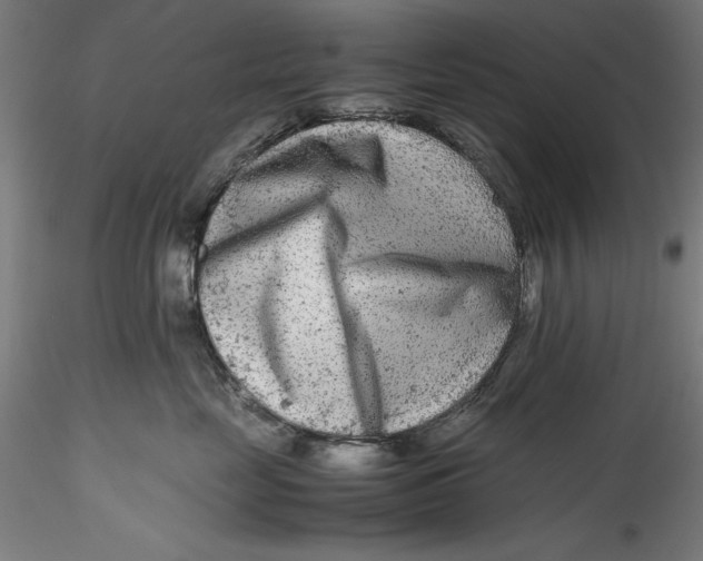 X0000115540669200911271412