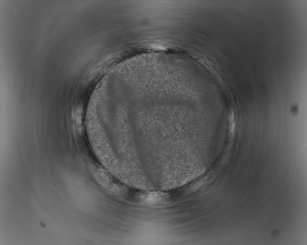 X0000115540670200911271412