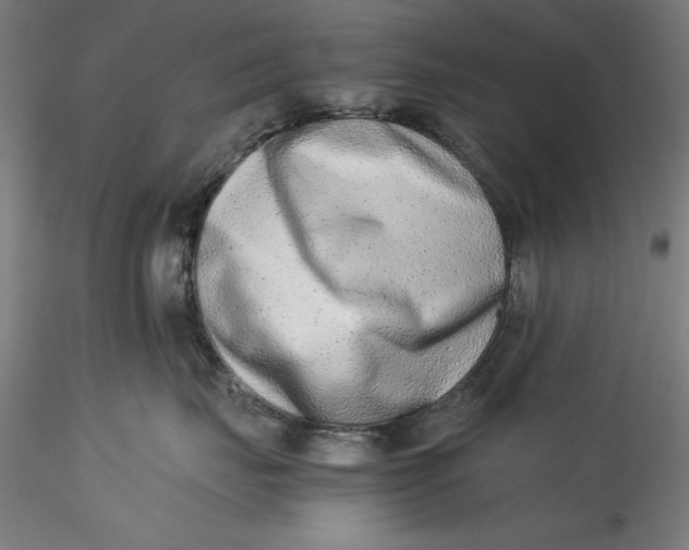 X0000115540671200911271412