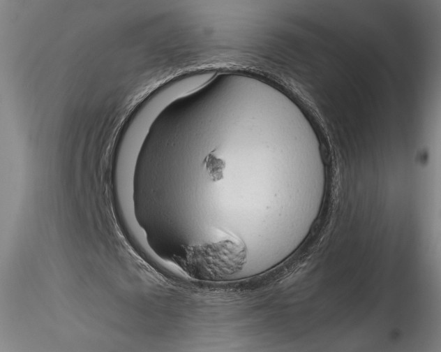 X0000115540673200911271411