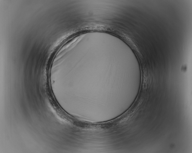 X0000115540674200911271411