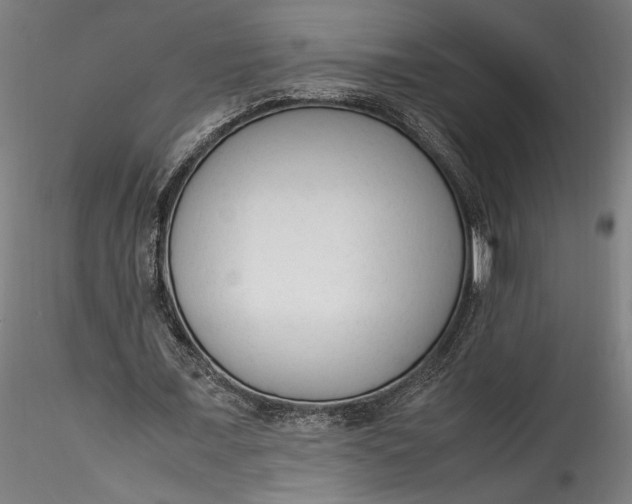 X0000115540675200911271411