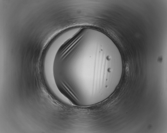 X0000115540676200911271411