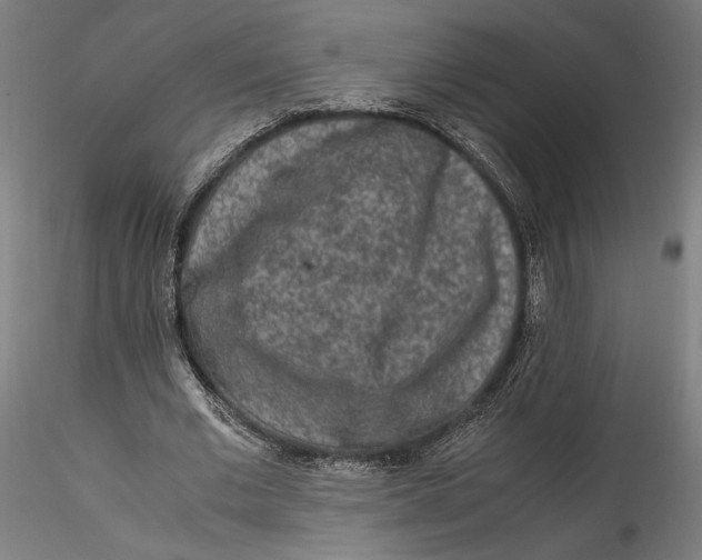 X0000115540677200911271411