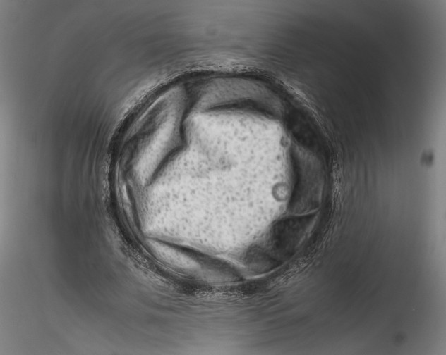 X0000115540679200911271411