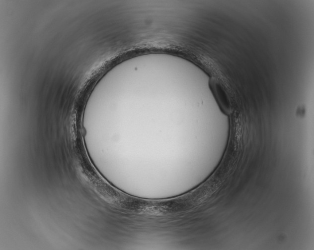 X0000115540680200911271411