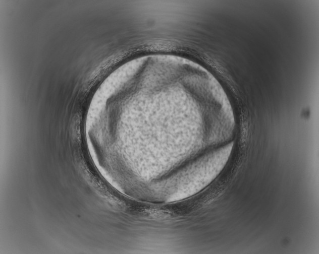 X0000115540681200911271411